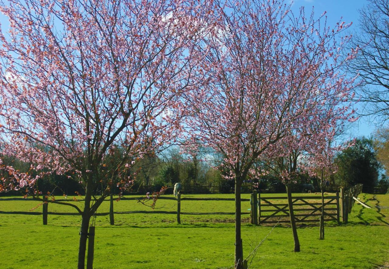 Hopgarden Glamping Luxury Shepherds Huts Wadhurst Esterno foto