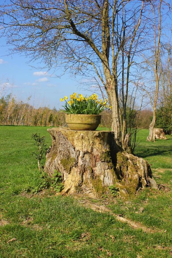 Hopgarden Glamping Luxury Shepherds Huts Wadhurst Esterno foto