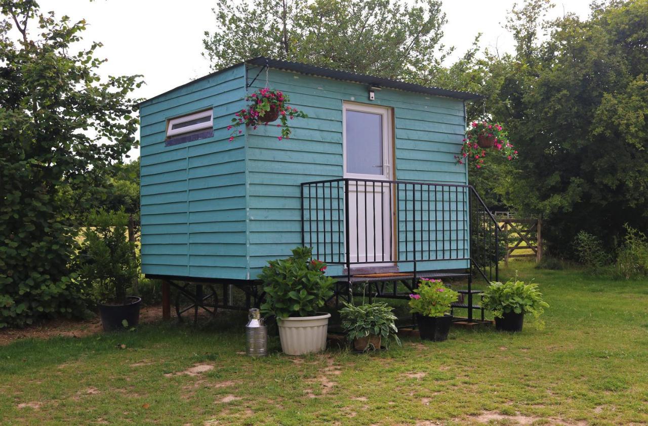 Hopgarden Glamping Luxury Shepherds Huts Wadhurst Esterno foto