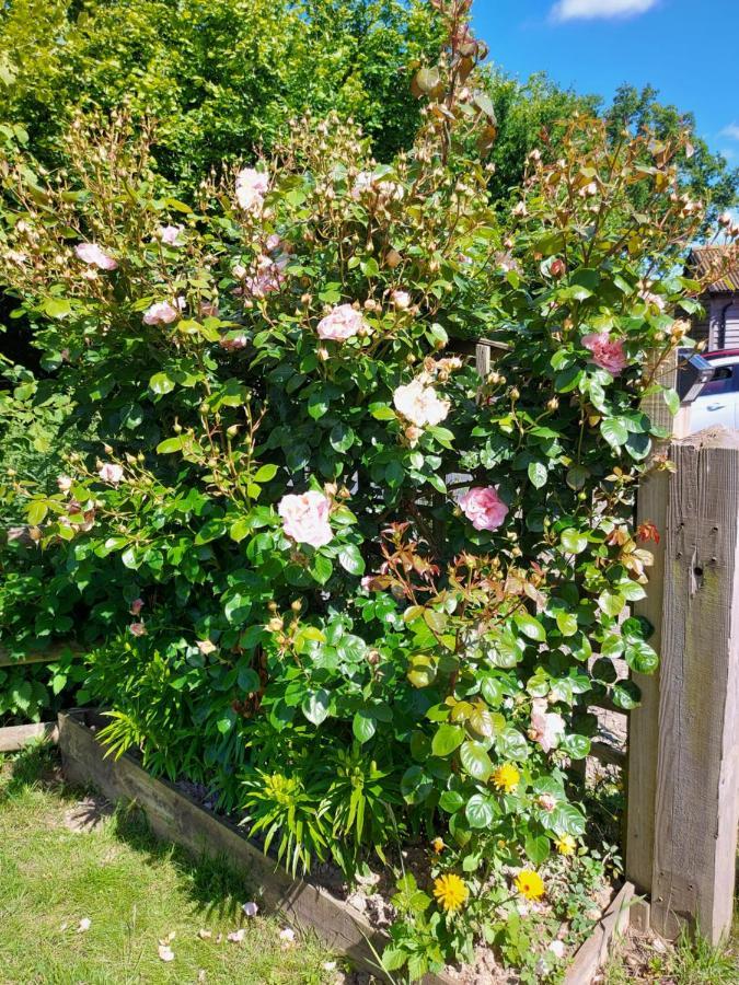 Hopgarden Glamping Luxury Shepherds Huts Wadhurst Esterno foto