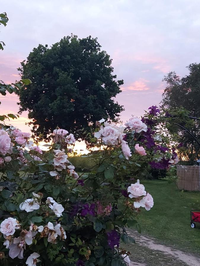 Hopgarden Glamping Luxury Shepherds Huts Wadhurst Esterno foto